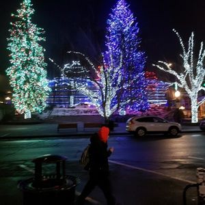 Meet your Posher, Shannon